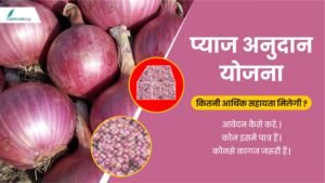 Pyaj Anudan Yojana 2024 Pyaj Anudan Yojana 2024