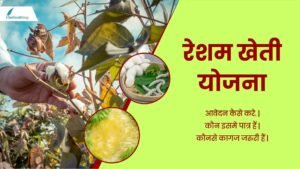 Resham Kheti Yojana 2024 Resham Kheti Yojana 2024